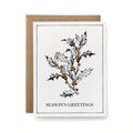 100% Recycled Season's Greetings Card - Painted Holly