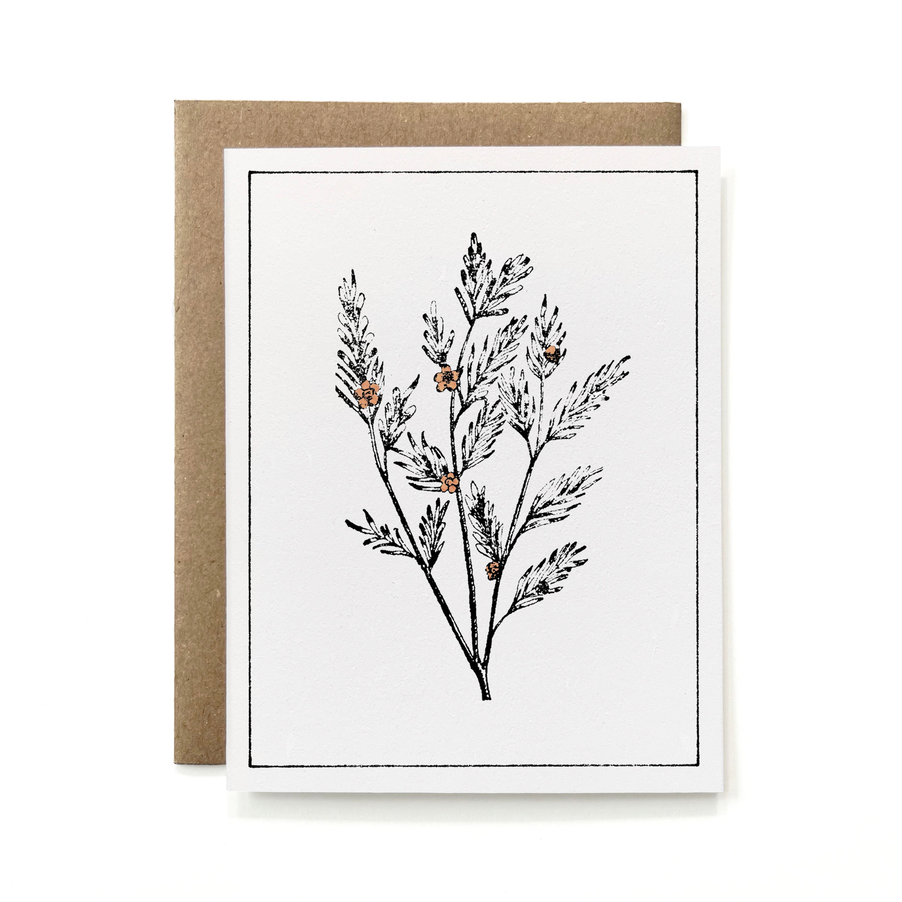 Set of 6 - 100% Recycled Painted Botanicals Card Collection