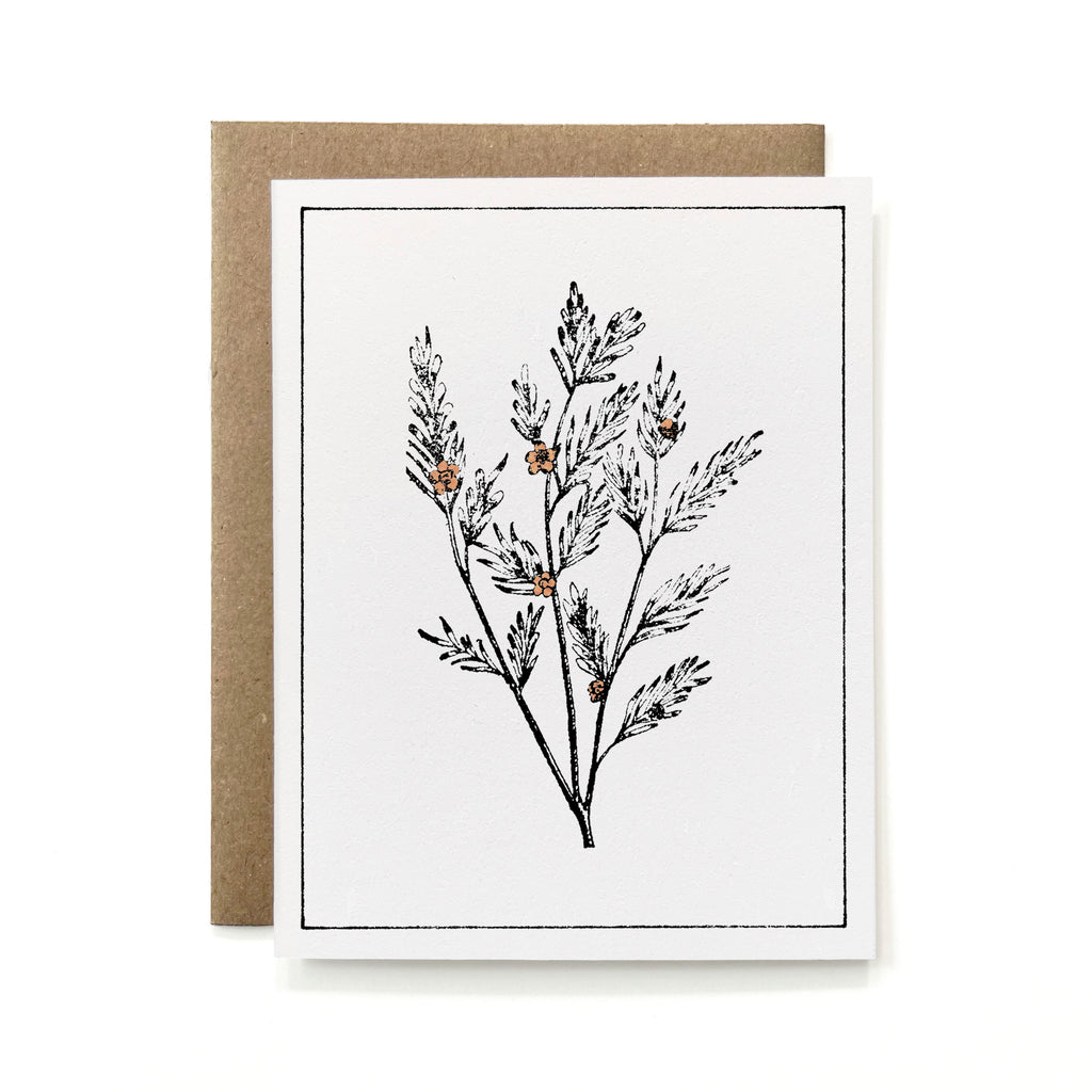 100% Recycled Painted Botanical Card - Tea Tree Branch
