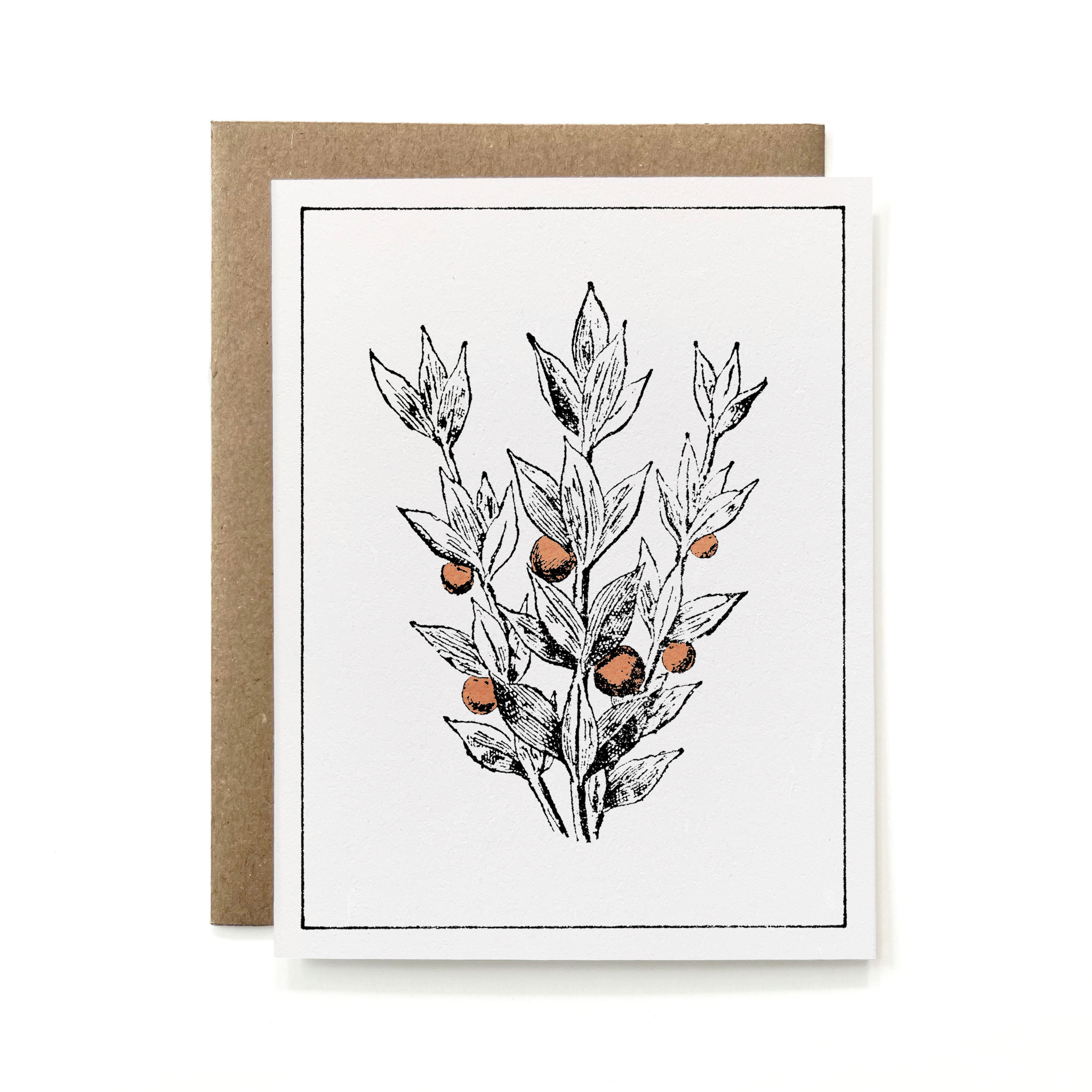 100% Recycled Painted Botanical Card - Butcher's Broom