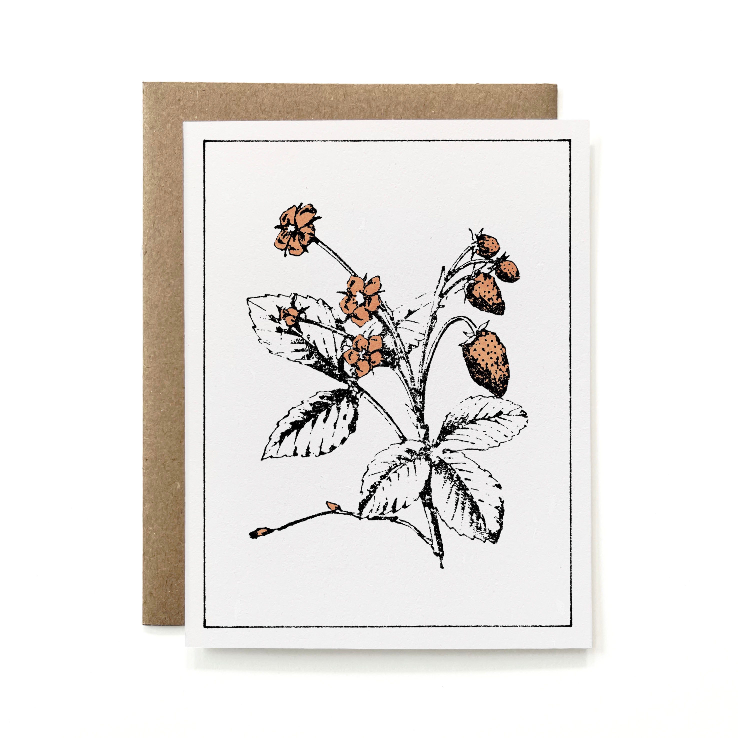 Set of 6 - 100% Recycled Painted Botanicals Card Collection