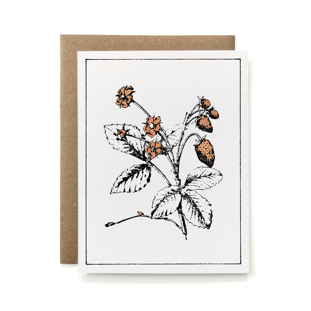 100% Recycled Painted Botanical Card - Strawberry Plant
