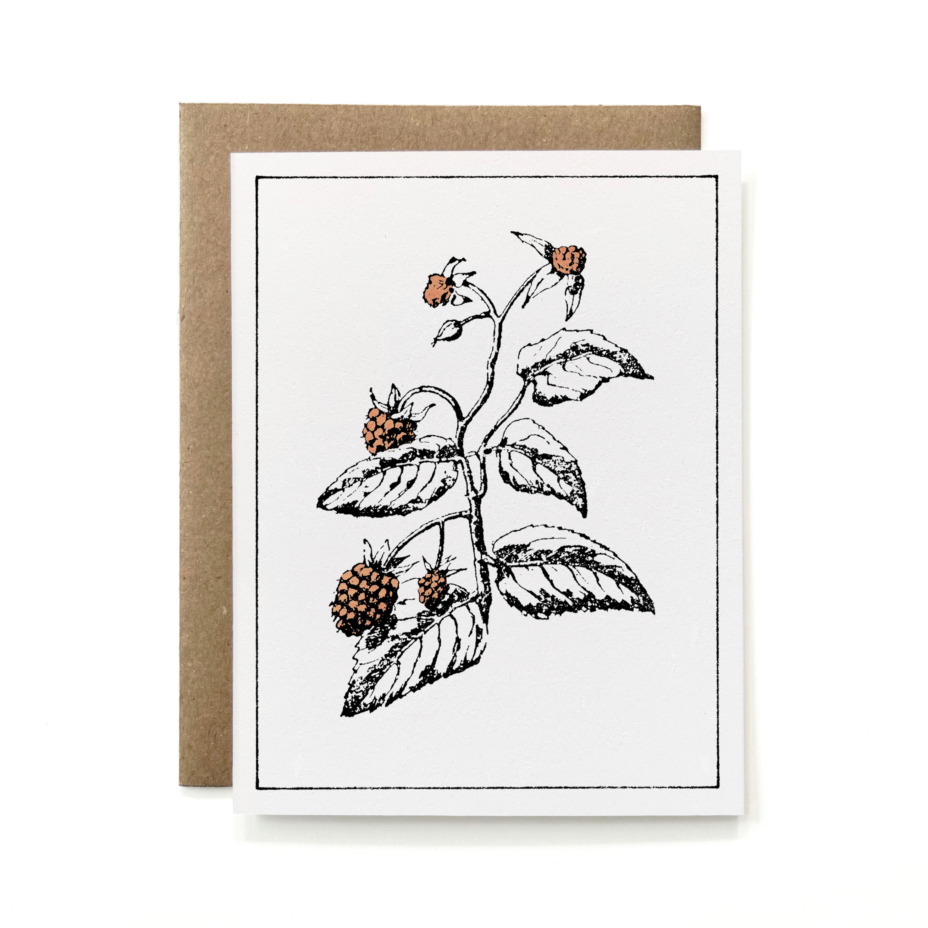 100% Recycled Painted Botanical Card - Blackberry Plant