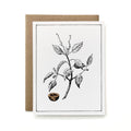 100% Recycled Painted Botanical Card - Manchineel Branch