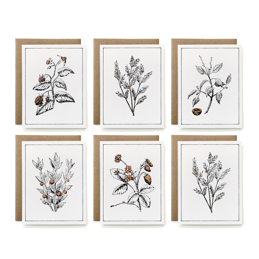 Set of 6 - 100% Recycled Painted Botanicals Card Collection