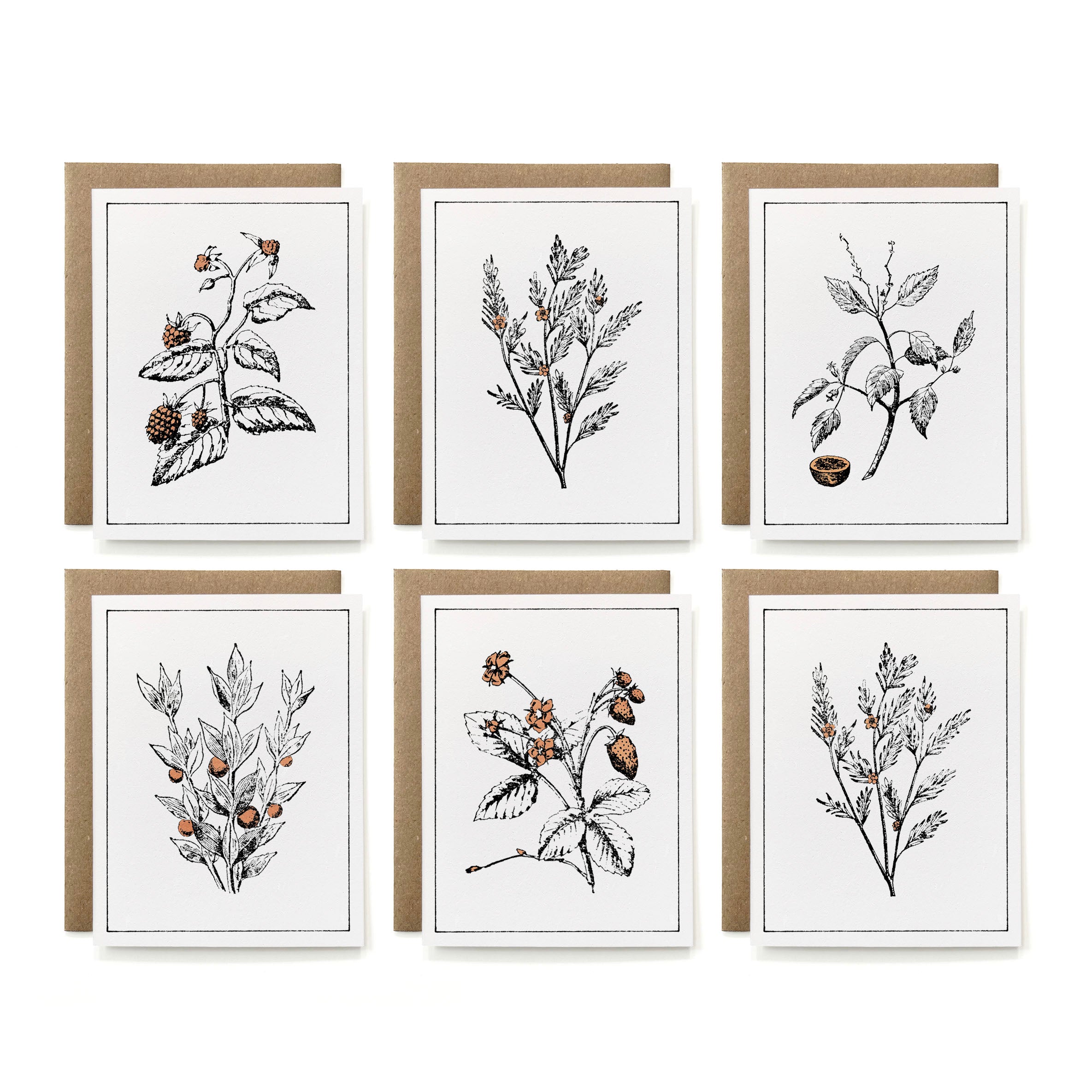 Set of 6 - 100% Recycled Painted Botanicals Card Collection