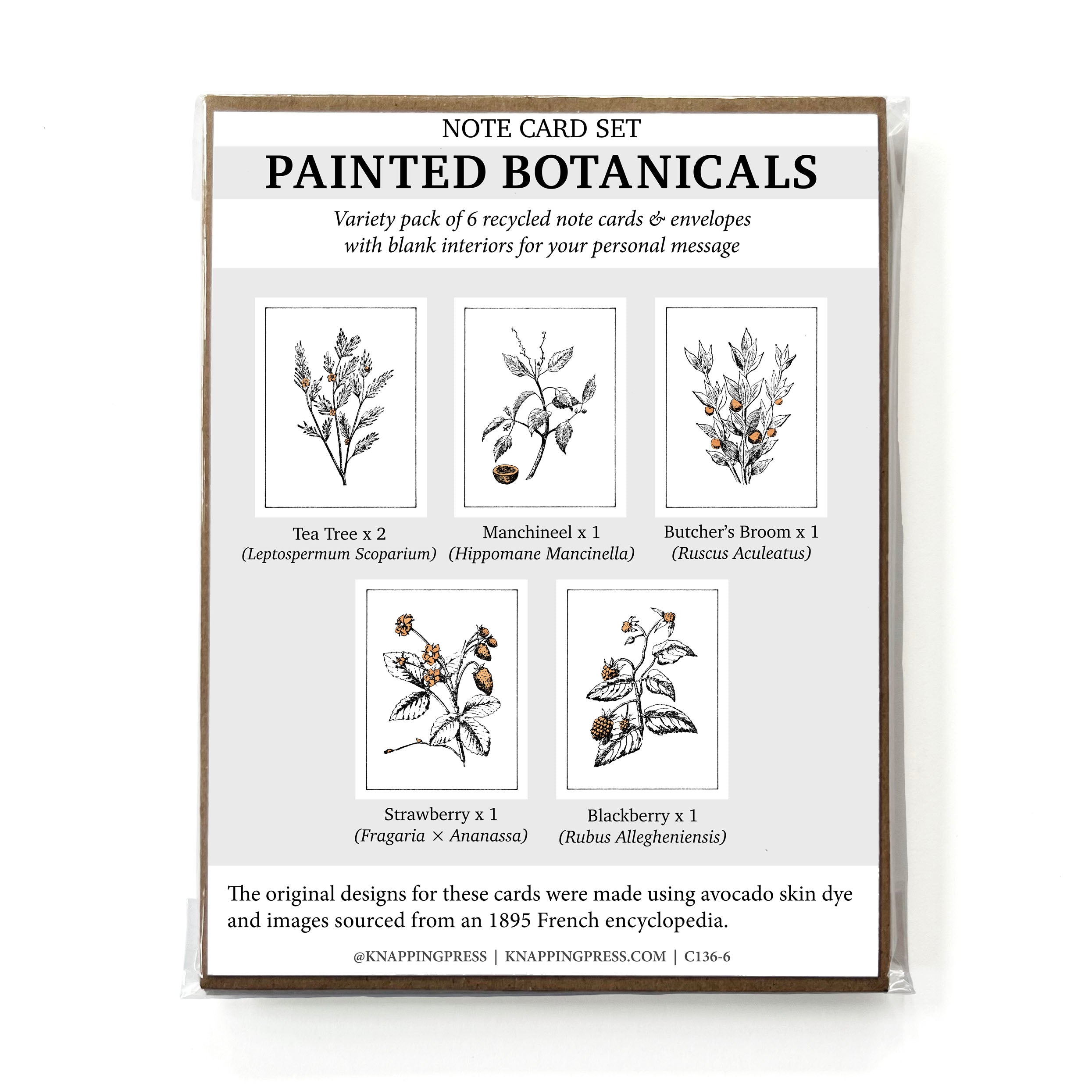 Set of 6 - 100% Recycled Painted Botanicals Card Collection