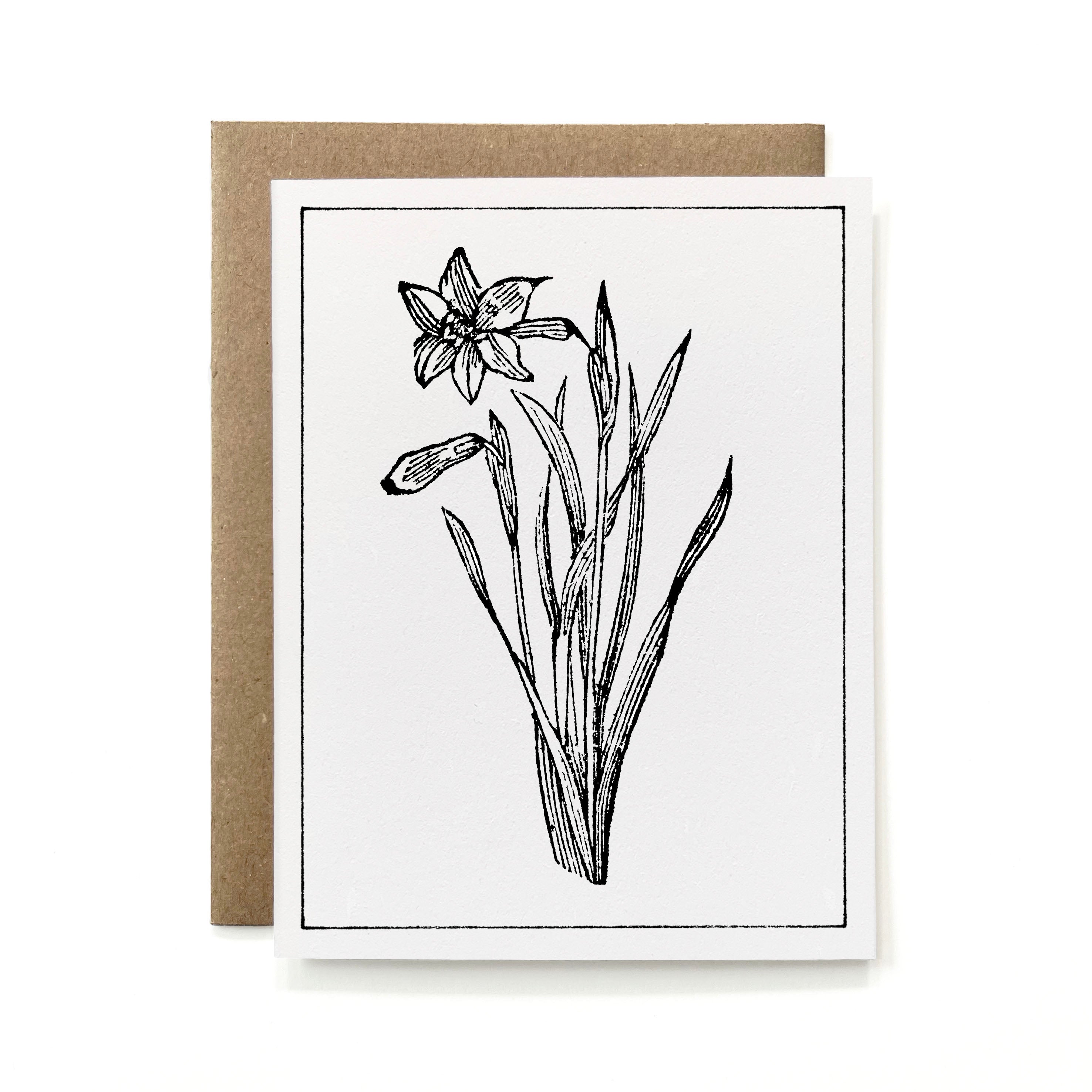 100% Recycled B&W Botanical Card - Daffodil Flower
