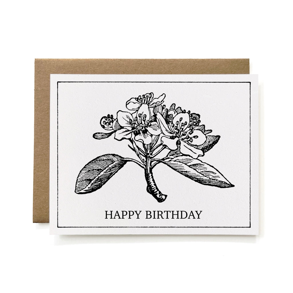 Set of 6 - 100% Recycled Birthday Cards - Pear Tree