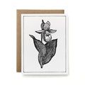 100% Recycled B&W Botanical Card - Showy Lady's Slipper