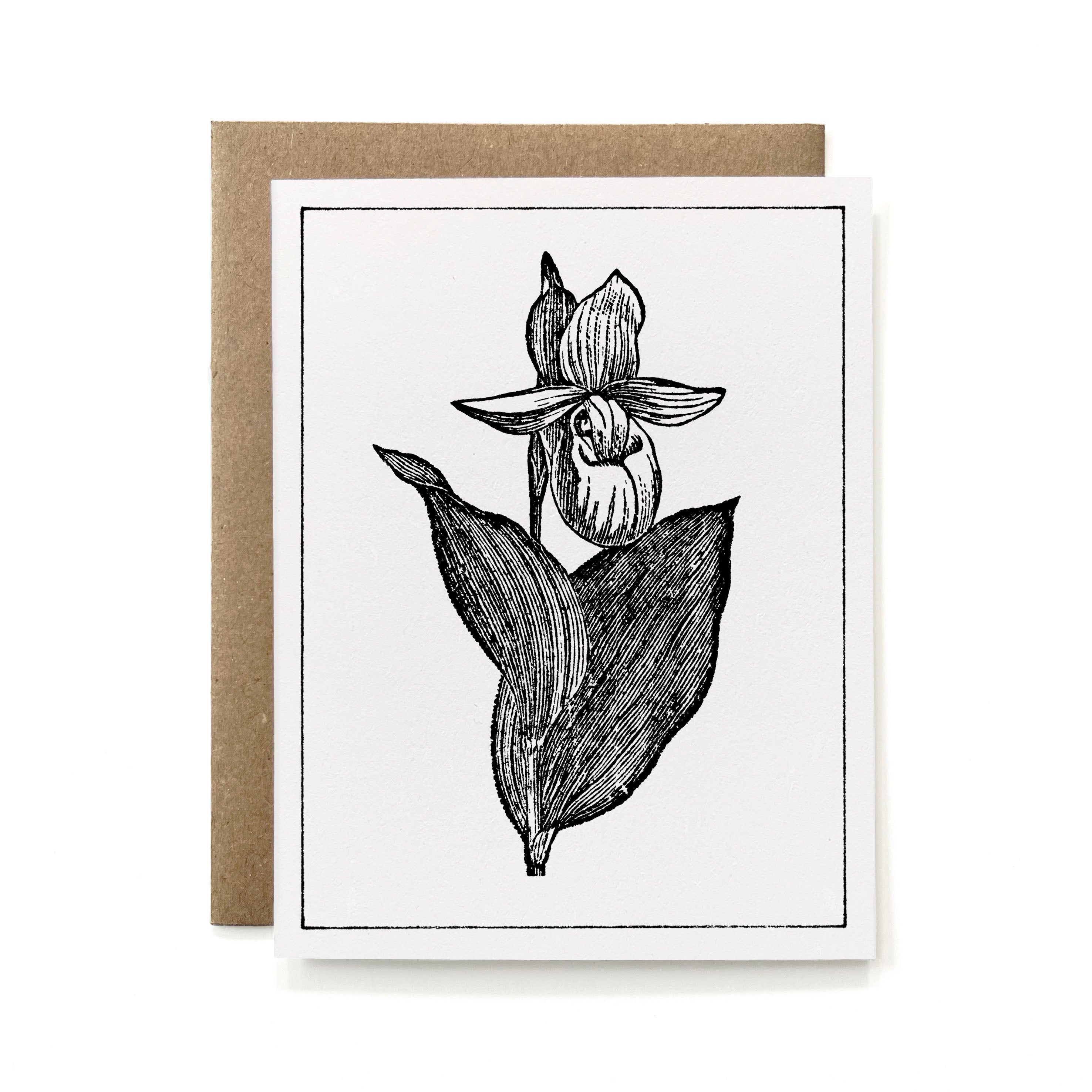 100% Recycled B&W Botanical Card - Showy Lady's Slipper
