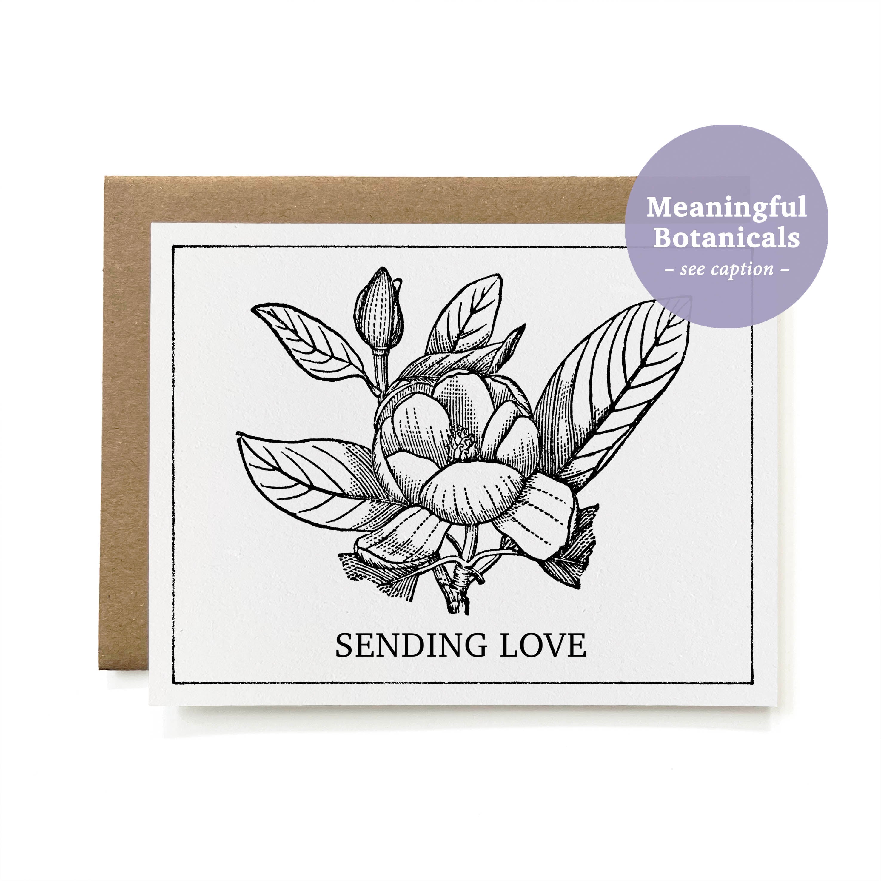 100% Recycled Botanical Sending Love Card - B&W Magnolia