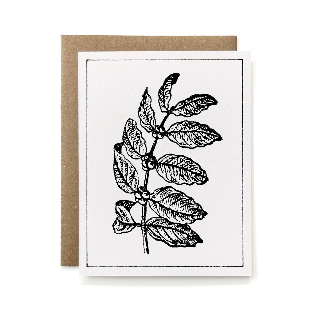 100% Recycled B&W Botanical Card - Coffee