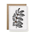 100% Recycled Painted Botanical Card - Coffee
