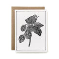 100% Recycled B&W Botanical Card - Hops