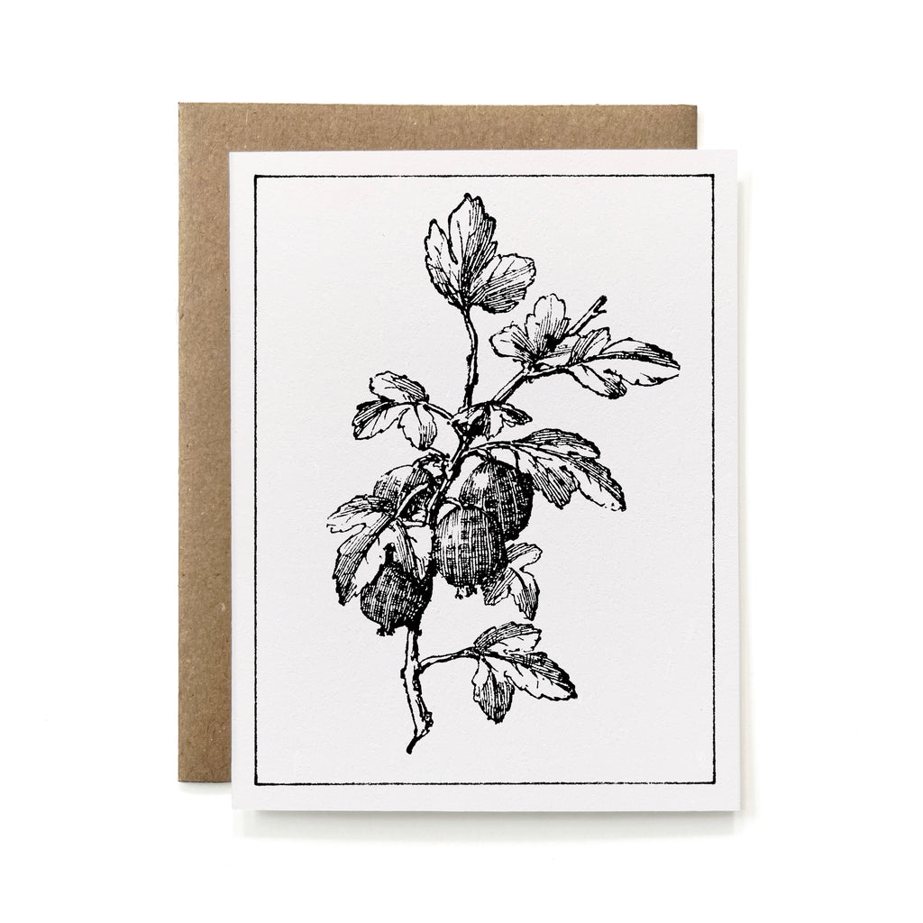 100% Recycled B&W Botanical Card - Red Currant