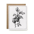 100% Recycled B&W Botanical Card - Red Currant
