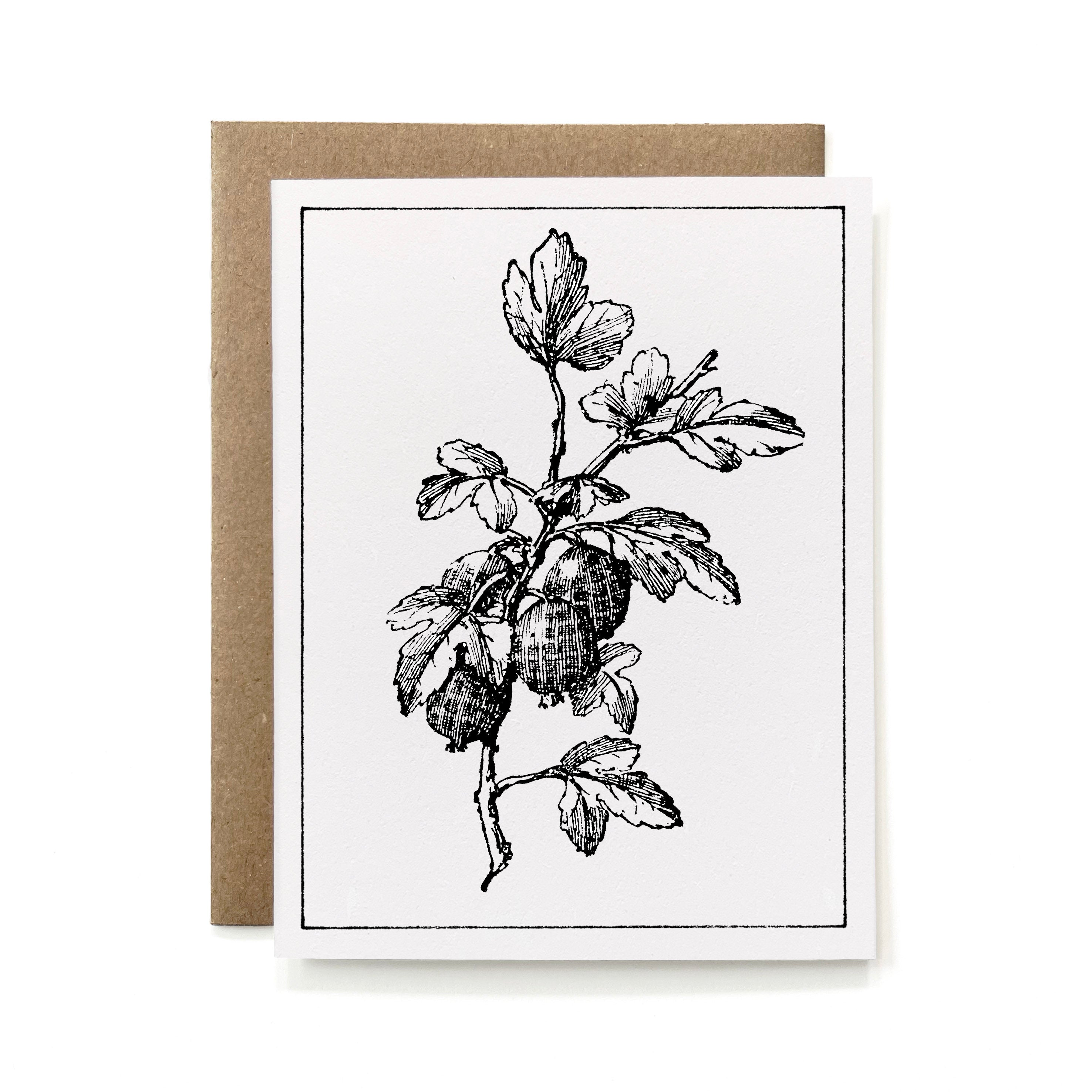 100% Recycled B&W Botanical Card - Red Currant
