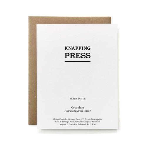 100% Recycled B&W Botanical Card - Cocoplum