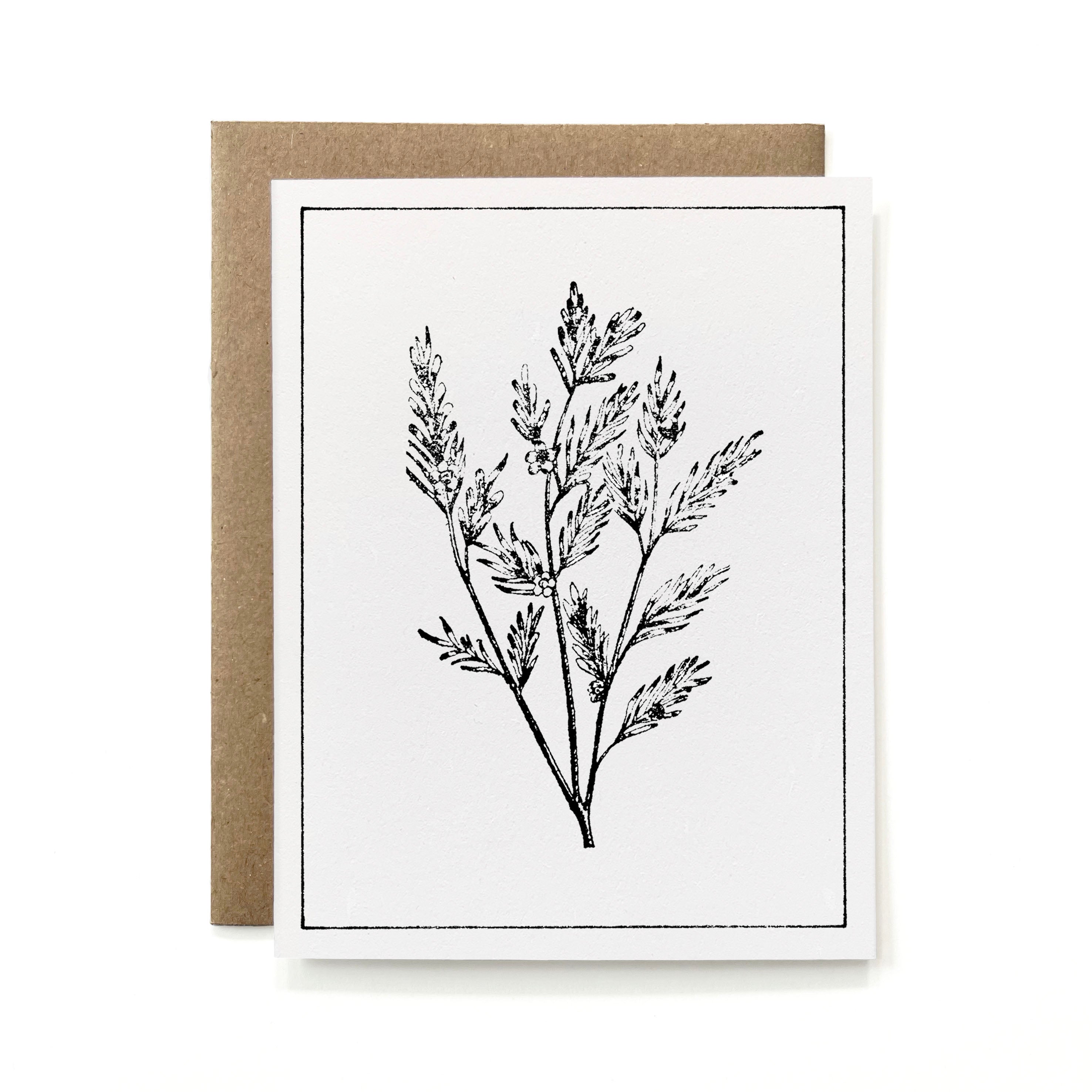 Set of 6 - 100% Recycled B&W Botanicals Card Collection