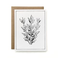 100% Recycled B&W Botanical Card - Butcher's Broom Branch