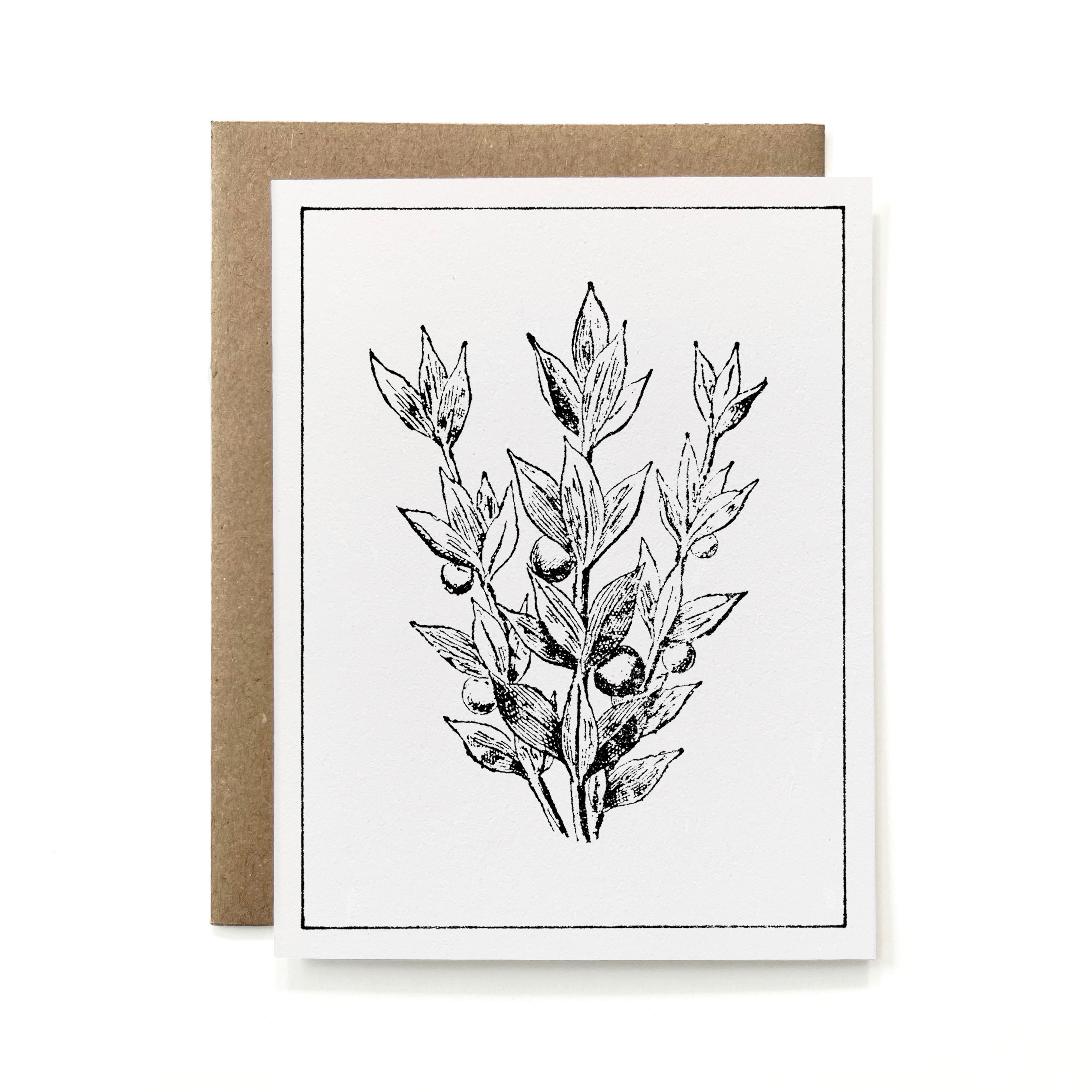 100% Recycled B&W Botanical Card - Butcher's Broom Branch