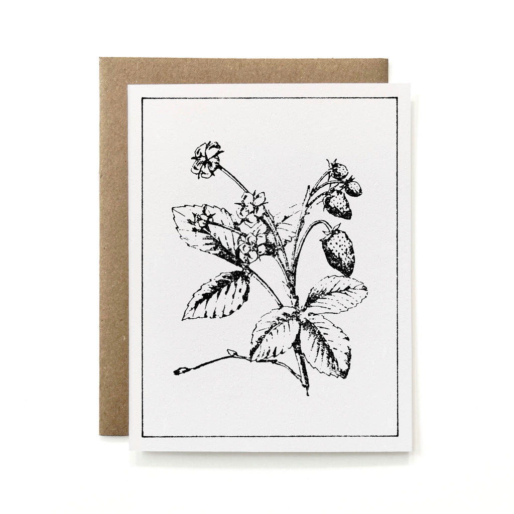 100% Recycled B&W Botanical Card - Strawberry Plant