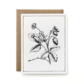 100% Recycled B&W Botanical Card - Strawberry Plant