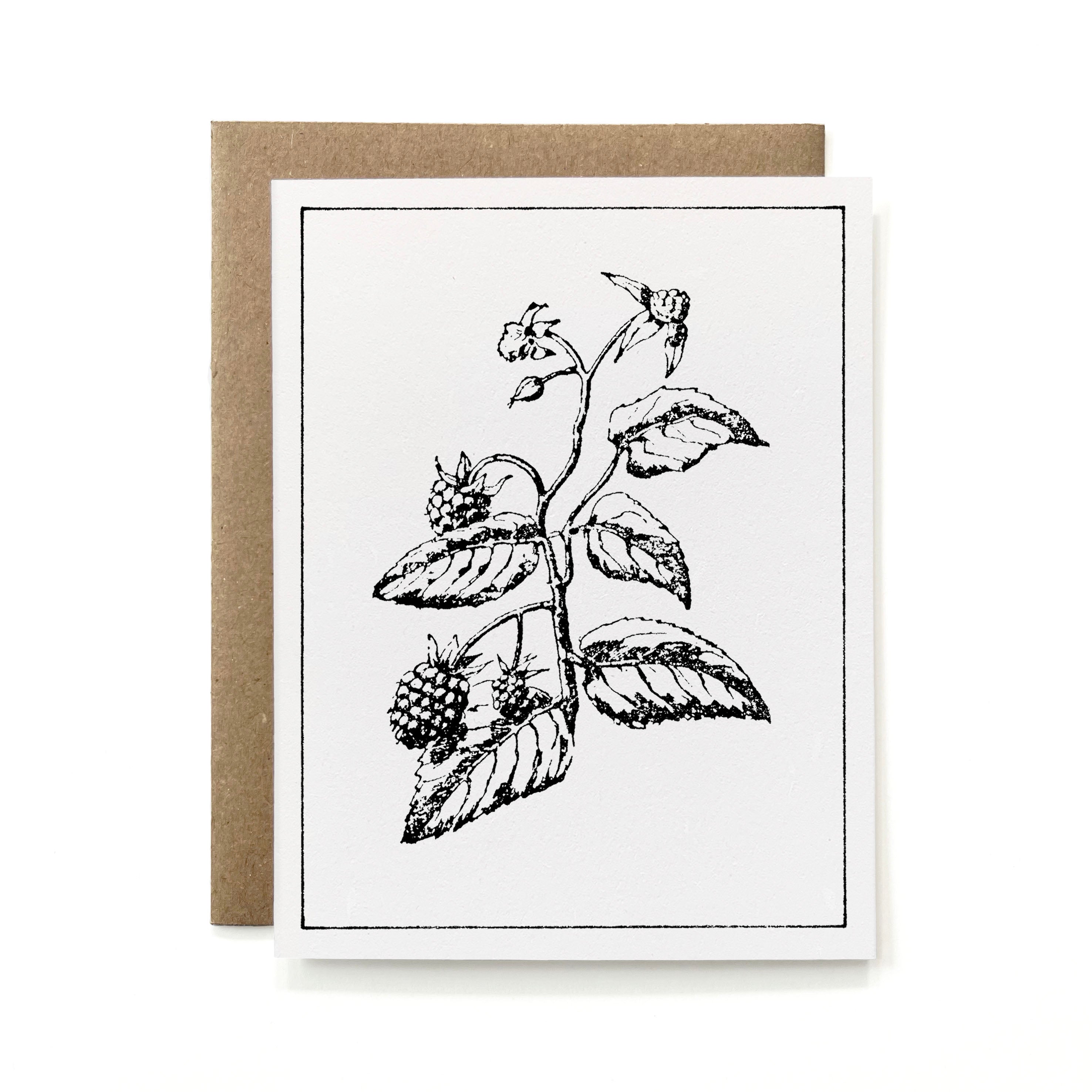 Set of 6 - 100% Recycled B&W Botanicals Card Collection