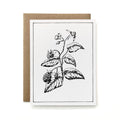 100% Recycled B&W Botanical Card - Blackberry Plant