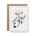 100% Recycled B&W Botanical Card - Manchineel Branch
