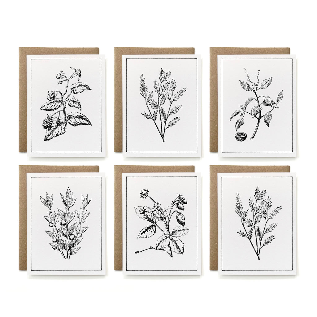 Set of 6 - 100% Recycled B&W Botanicals Card Collection
