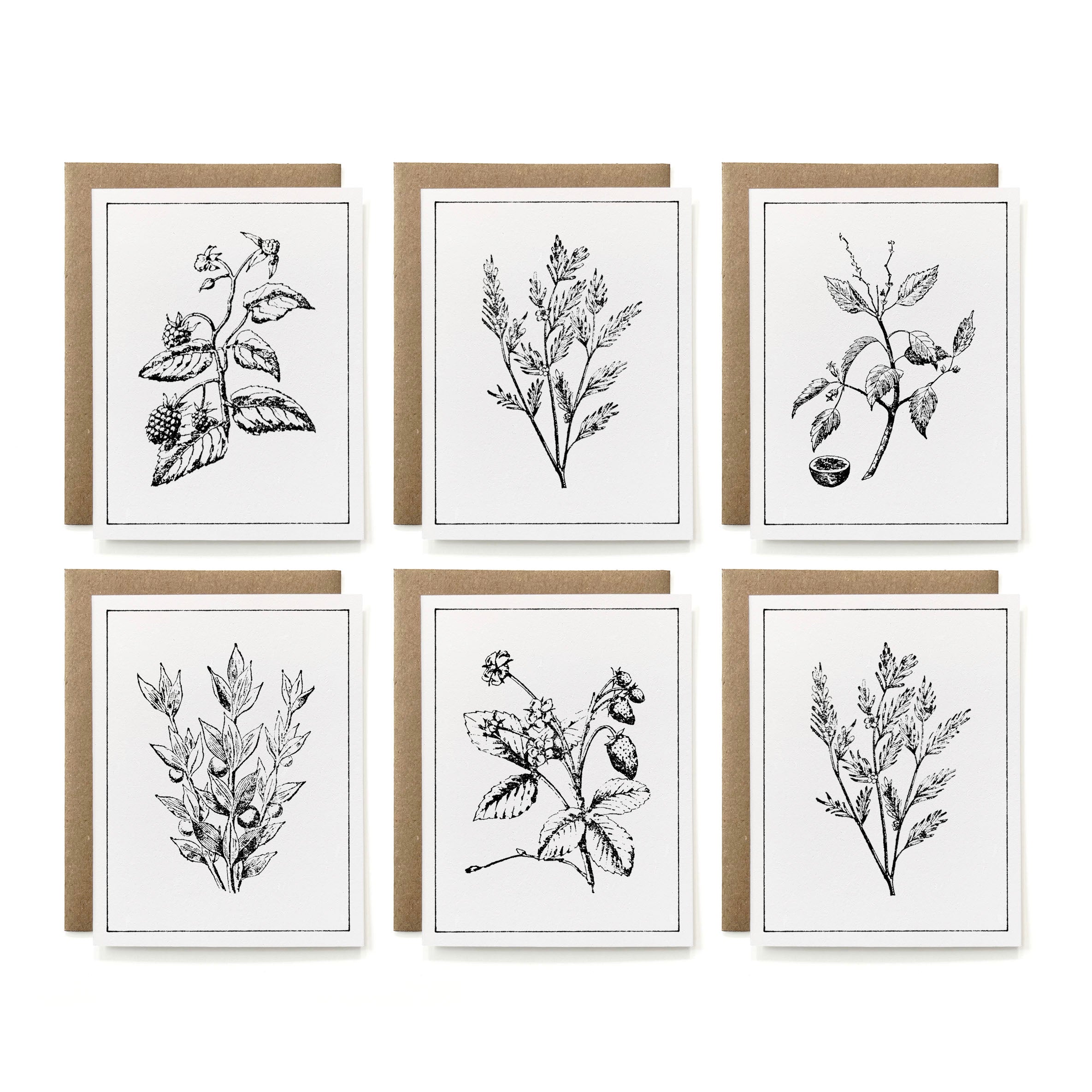 Set of 6 - 100% Recycled B&W Botanicals Card Collection