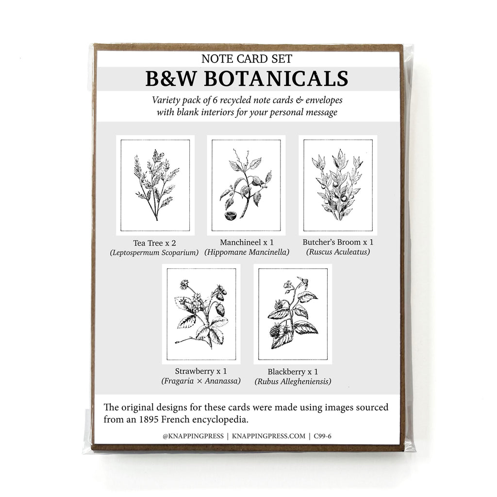Set of 6 - 100% Recycled B&W Botanicals Card Collection