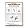 Set of 6 - 100% Recycled B&W Botanicals Card Collection