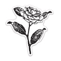 Camellia Botanical Vinyl Sticker