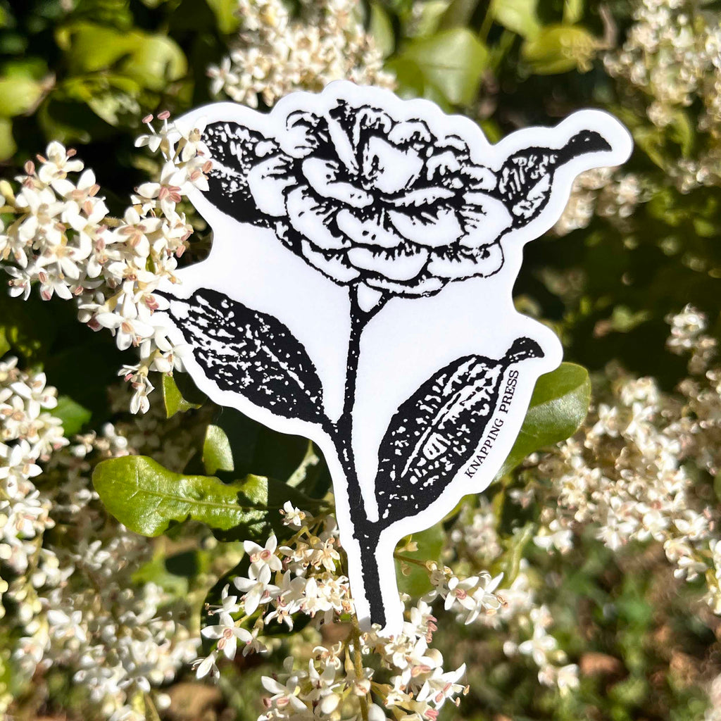 Camellia Botanical Vinyl Sticker
