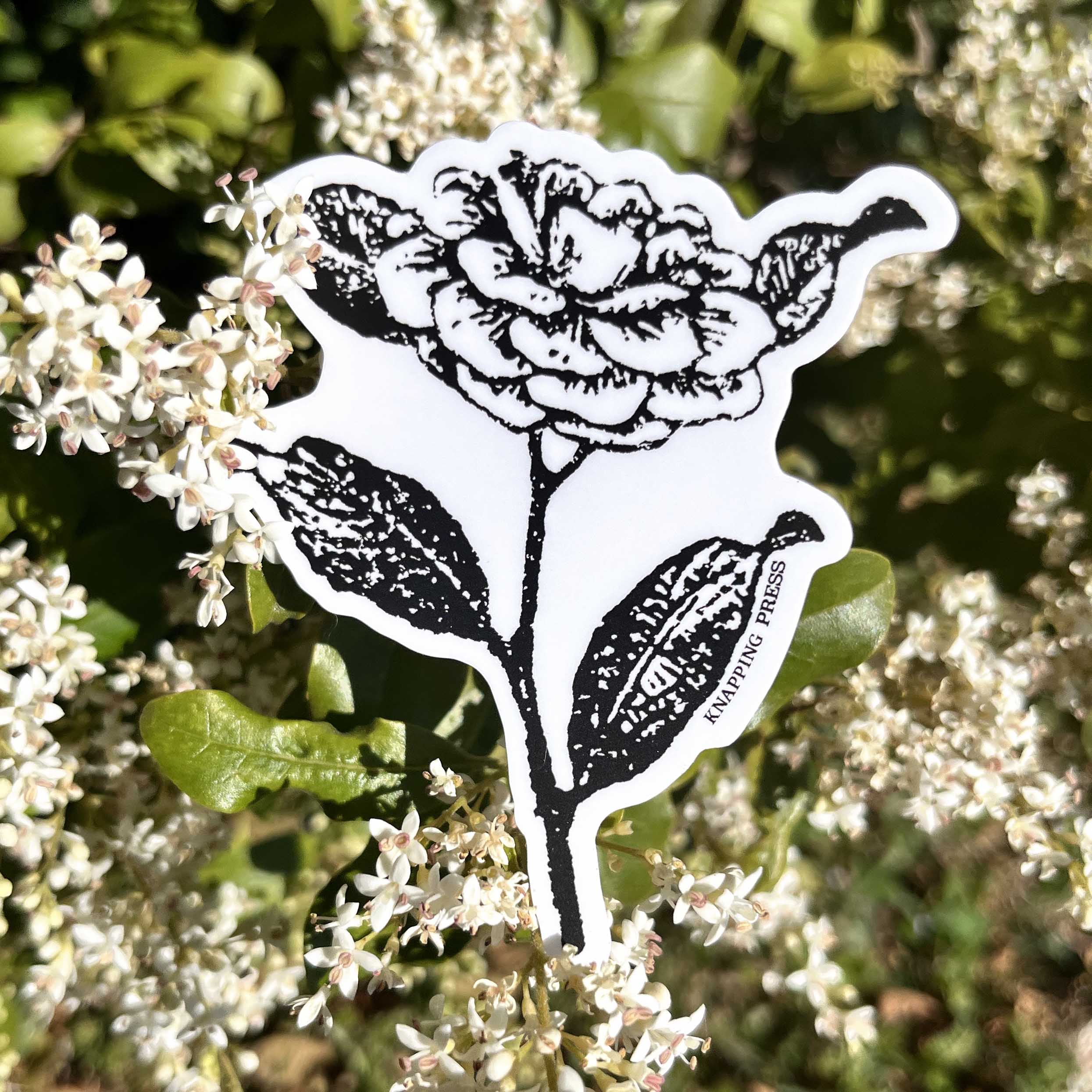 Camellia Botanical Vinyl Sticker
