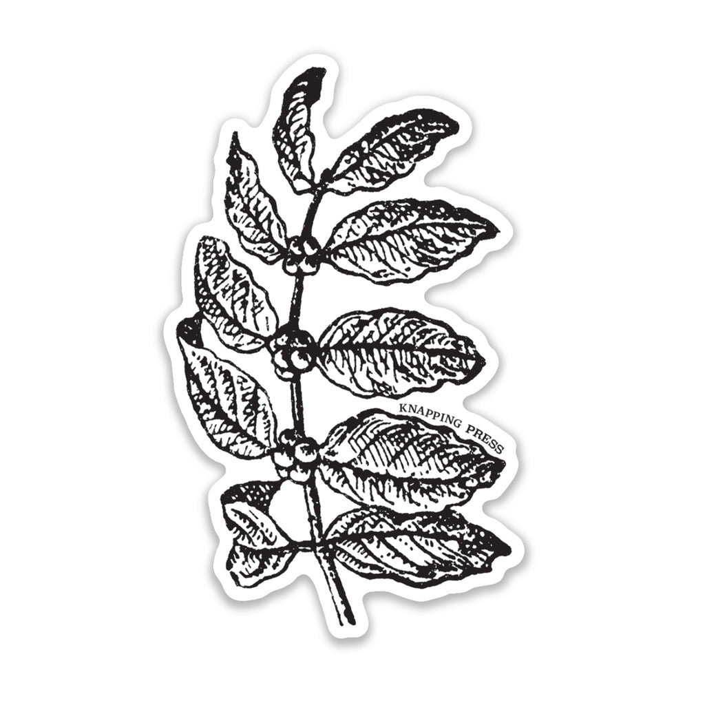 Coffee Botanical Vinyl Sticker