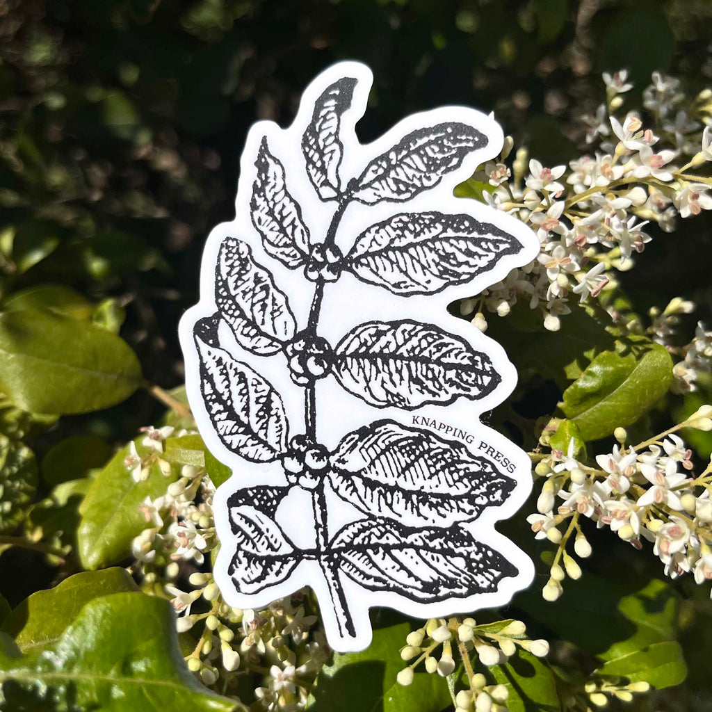 Coffee Botanical Vinyl Sticker