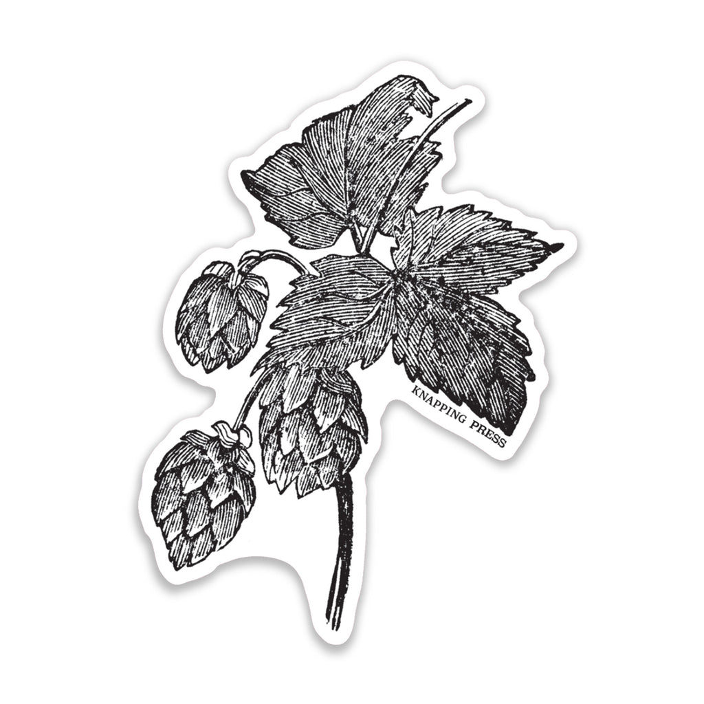 Hops Botanical Vinyl Sticker