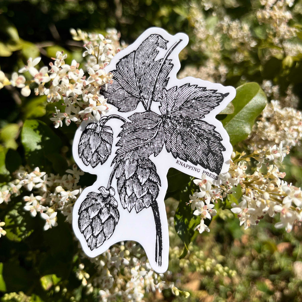 Hops Botanical Vinyl Sticker