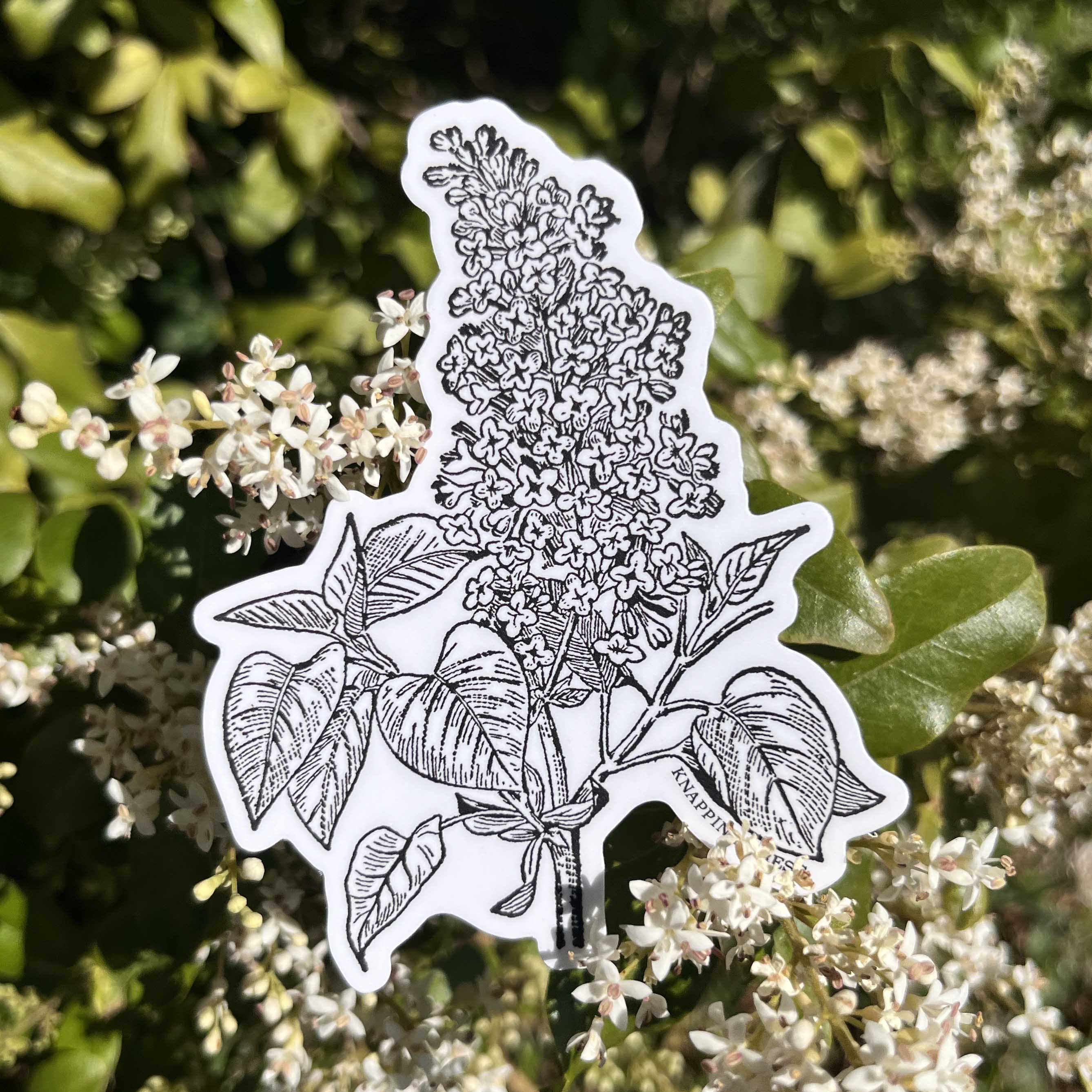 Lilac Botanical Vinyl Sticker
