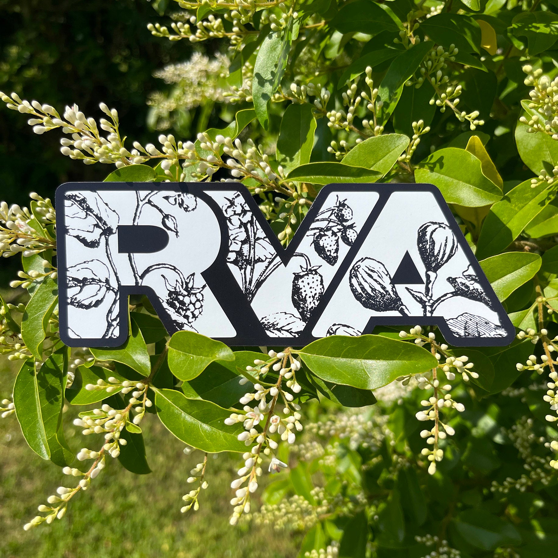 RVA Botanicals Magnet | Car Decal & Refrigerator Magnet