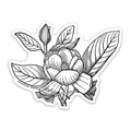 Sweetbay Magnolia Botanical Vinyl Sticker