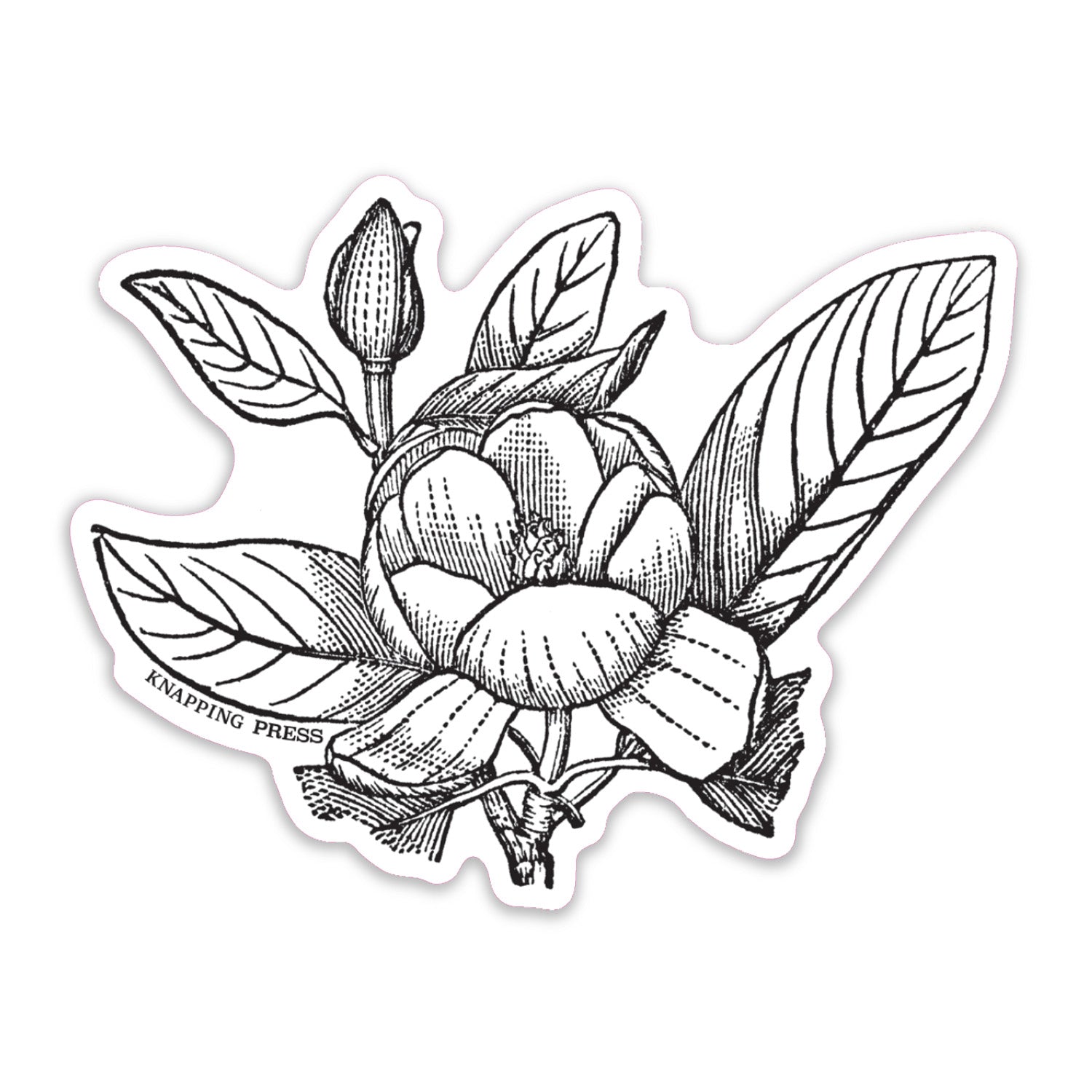 Sweetbay Magnolia Botanical Vinyl Sticker