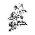 Blackberry Botanical Vinyl Sticker