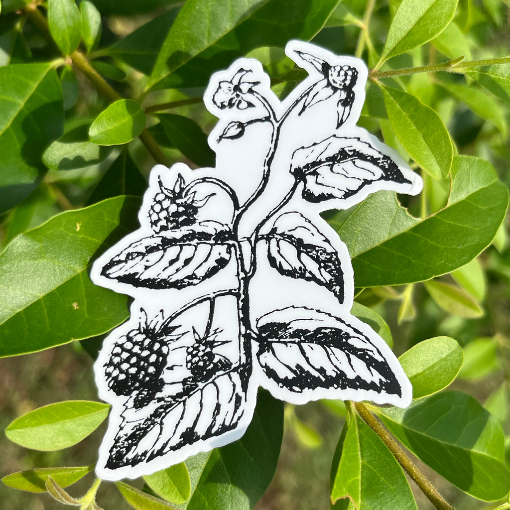 Blackberry Botanical Vinyl Sticker