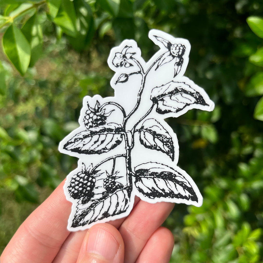 Blackberry Botanical Vinyl Sticker