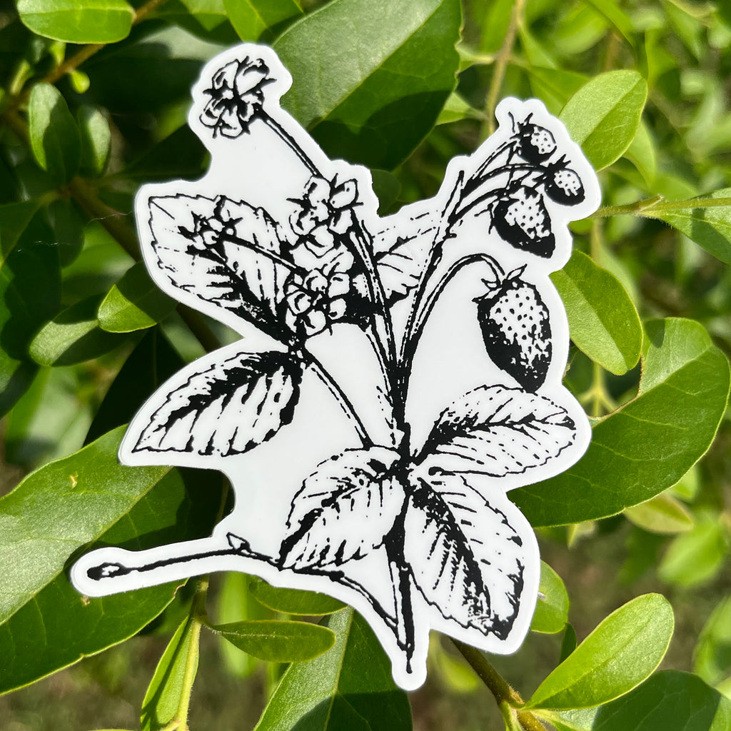 Strawberry Botanical Vinyl Sticker